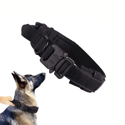 Tactical Nylon Dog Collar & Leash — K9 Duty Grade